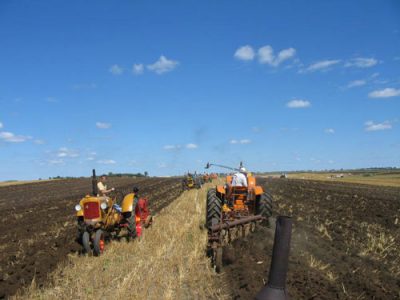 2013 Prairie Gold Rush Summer Show Plow-A-Rama Image